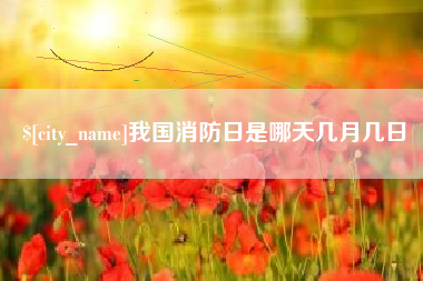 甘南我国消防日是哪天几月几日