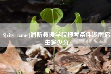 甘南消防救援学院报考条件湖南招生多少分