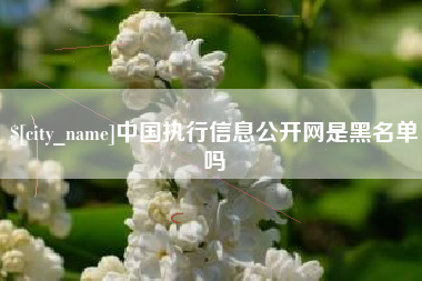 甘南中国执行信息公开网是黑名单吗