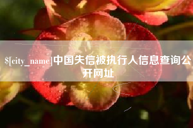 甘南中国失信被执行人信息查询公开网址