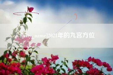 甘南2021年的九宫方位