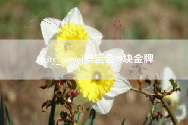 甘南奥运会39块金牌