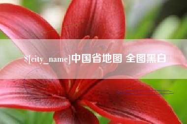 甘南中国省地图 全图黑白