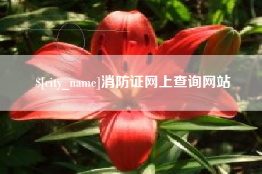 甘南消防证网上查询网站