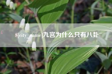 甘南九宫为什么只有八卦