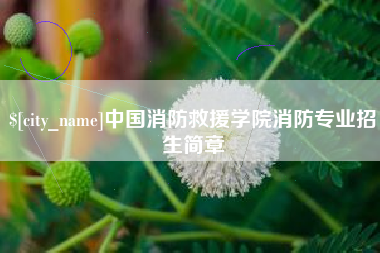 甘南中国消防救援学院消防专业招生简章