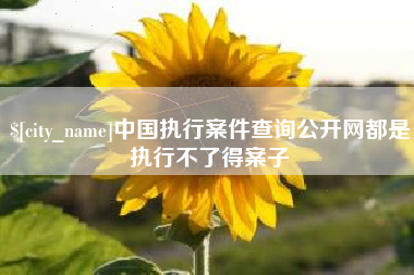 甘南中国执行案件查询公开网都是执行不了得案子