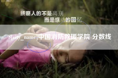 甘南中国消防救援学院 分数线