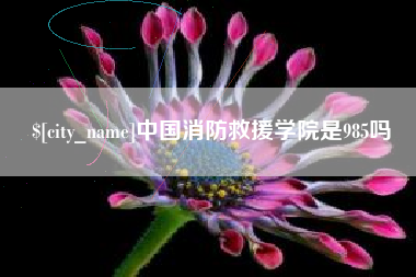 甘南中国消防救援学院是985吗