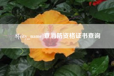 甘南查消防资格证书查询