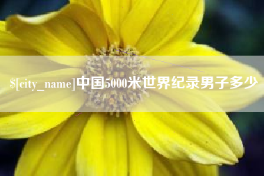 甘南中国5000米世界纪录男子多少
