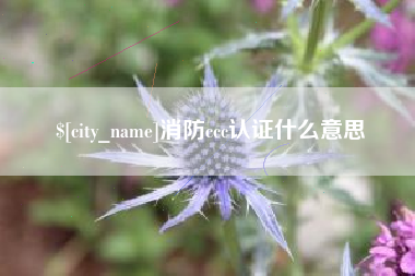 甘南消防ccc认证什么意思