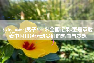 甘南男子5000米全国记录-更是承载着中国田径运动员们的热血与梦想
