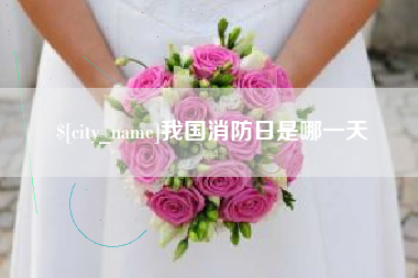 甘南我国消防日是哪一天