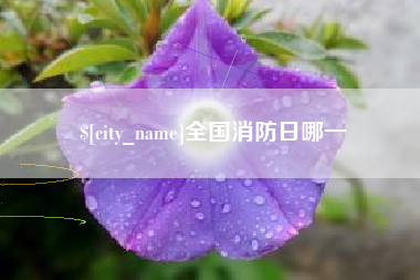 甘南全国消防日哪一