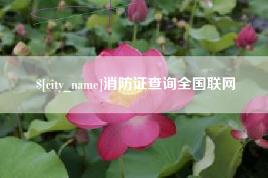 甘南消防证查询全国联网