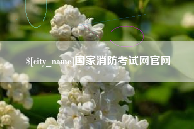 甘南国家消防考试网官网