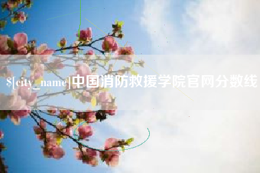 甘南中国消防救援学院官网分数线