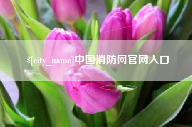 甘南中国消防网官网入口