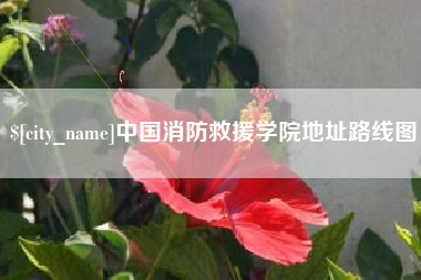 甘南中国消防救援学院地址路线图
