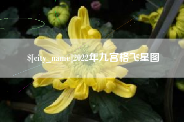 甘南2022年九宫格飞星图