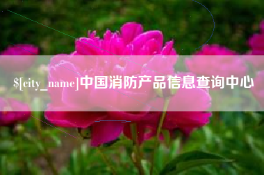 甘南中国消防产品信息查询中心