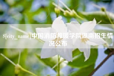 甘南中国消防救援学院湖南招生情况公布