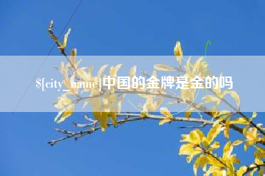 甘南中国的金牌是金的吗