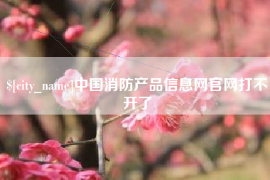甘南中国消防产品信息网官网打不开了