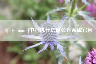 甘南中国执行信息公开系统官网