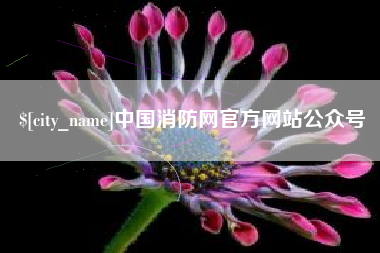 甘南中国消防网官方网站公众号