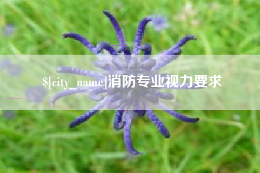 甘南消防专业视力要求