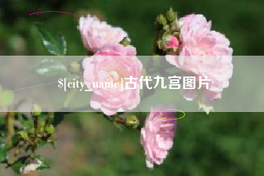 甘南古代九宫图片