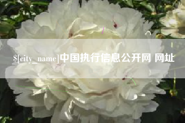 甘南中国执行信息公开网 网址