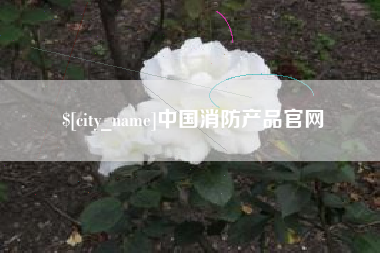 甘南中国消防产品官网
