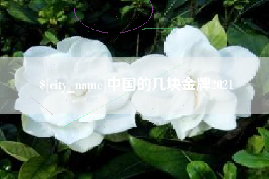 甘南中国的几块金牌2021
