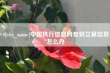 甘南中国执行信息网查到立案信息怎么办