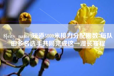 甘南短道5000米接力分配圈数-每队由多名选手共同完成这一漫长赛程