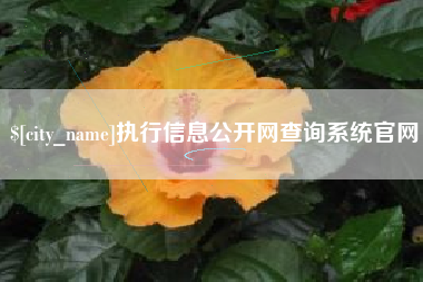 甘南执行信息公开网查询系统官网