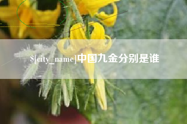 甘南中国九金分别是谁