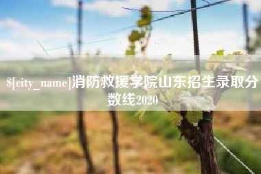 甘南消防救援学院山东招生录取分数线2020