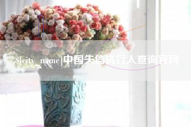 甘南中国失信执行人查询官网