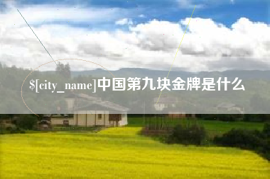 甘南中国第九块金牌是什么