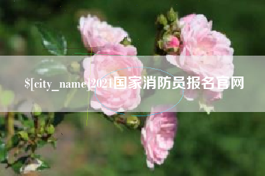 甘南2021国家消防员报名官网