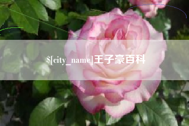 甘南王子豪百科