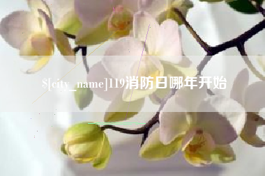 甘南119消防日哪年开始