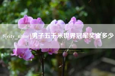 甘南男子五千米世界冠军奖金多少