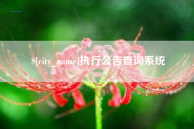 甘南执行公告查询系统