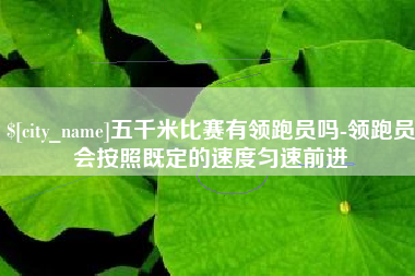 甘南五千米比赛有领跑员吗-领跑员会按照既定的速度匀速前进
