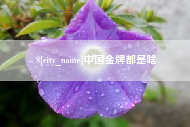 甘南中国金牌都是啥